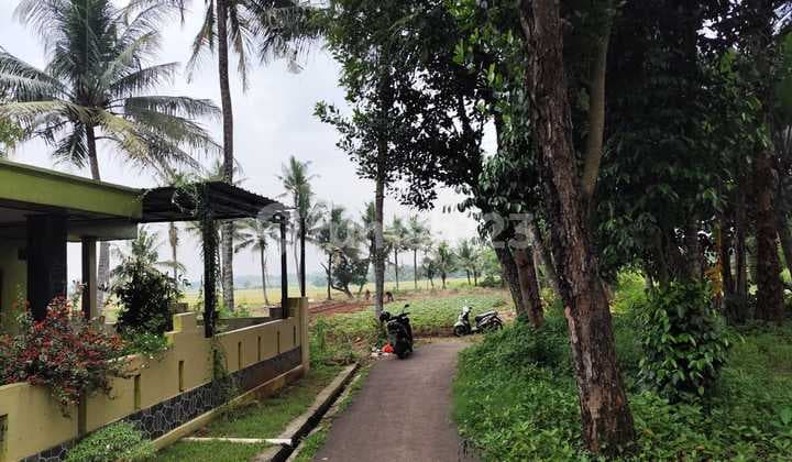 Tanah Kavling Sindang Jaya - SHM 70Jtan - 10 Menit Suvarna Sutra