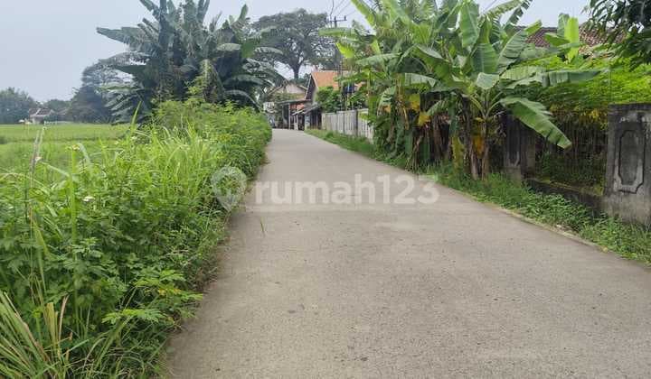 Tanah Murah Sindang Jaya Dekat Suvarna Sutera - SHM 700Rban/M