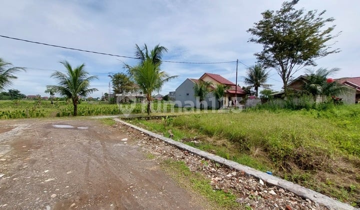 Strategis untuk Kost! Tanah Kavling Dekat Kampus Ipb - SHM 200Jtan