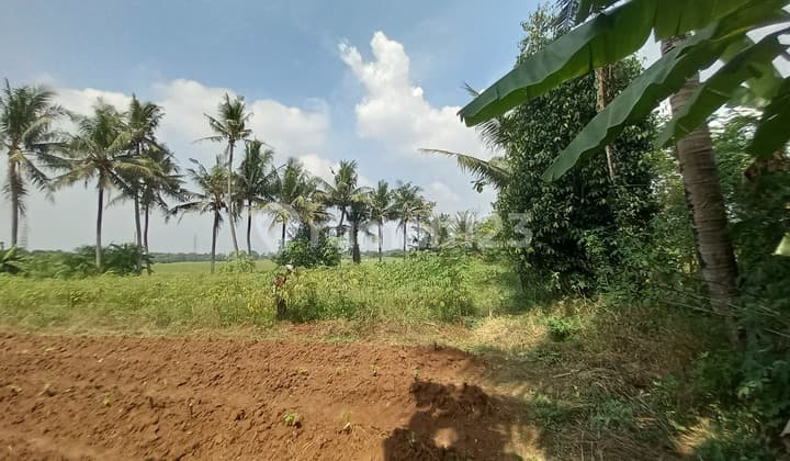 Tanah Kavling Sindang Jaya SHM 70Jtan - bisa Cicil Sampai 30 Kali