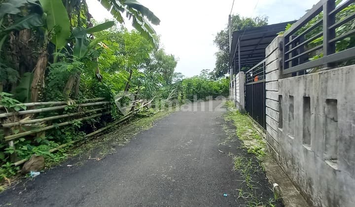 Rajeg Land Near Batavia - Ready for Deed - Suitable for House/Development