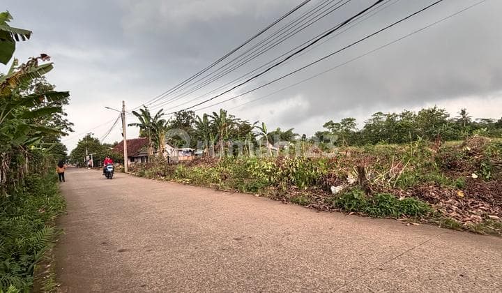 Bisa Cicilan Tanpa Bunga - Tanah Kavling Cisauk 100Jtan Dekat Stasiun