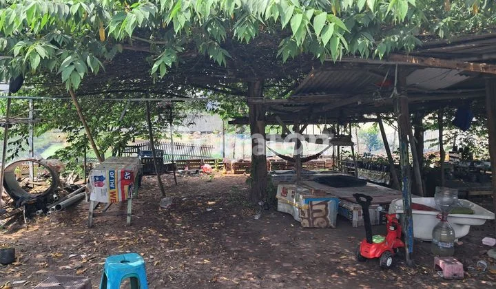 quick land 1900 by the main road quick land 1900 by the main road