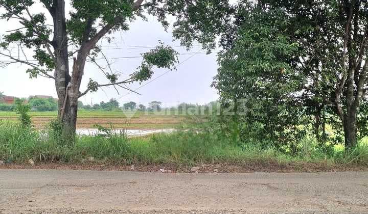 Tanah Datar Siap Bangun, Cocok Untuk Pabrik, Super Blok, Mall