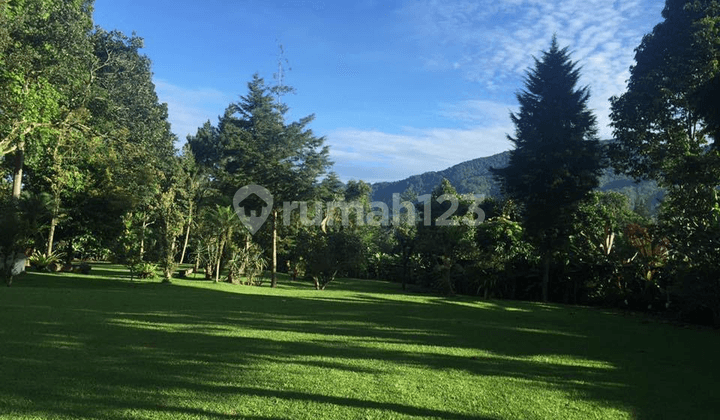 Land / Villa Near Main Road in Puncak Cisarua Bogor West Java