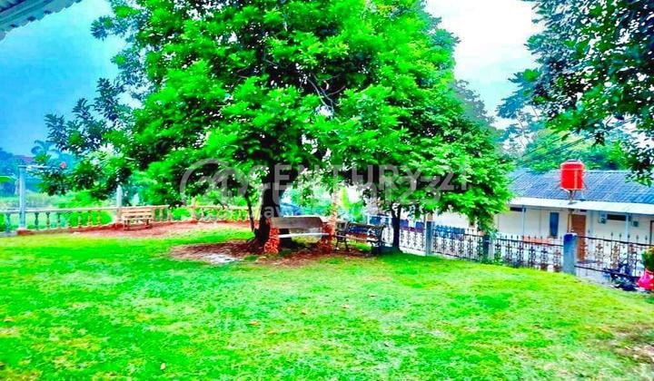 Rumah Cantik Asri Di Jalan Aria Putra, Ciputat, Tangerang Selatan