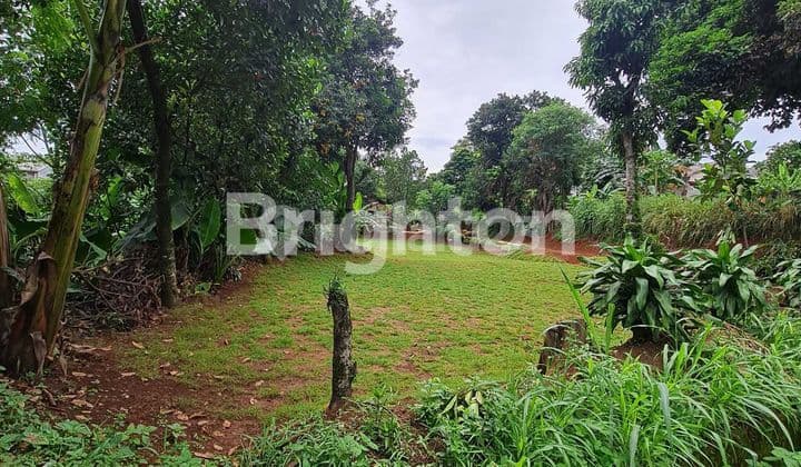 Cuma 1,5 Juta/m Tanah Lokasi Strategis, Cocok untuk Bangun Cluster