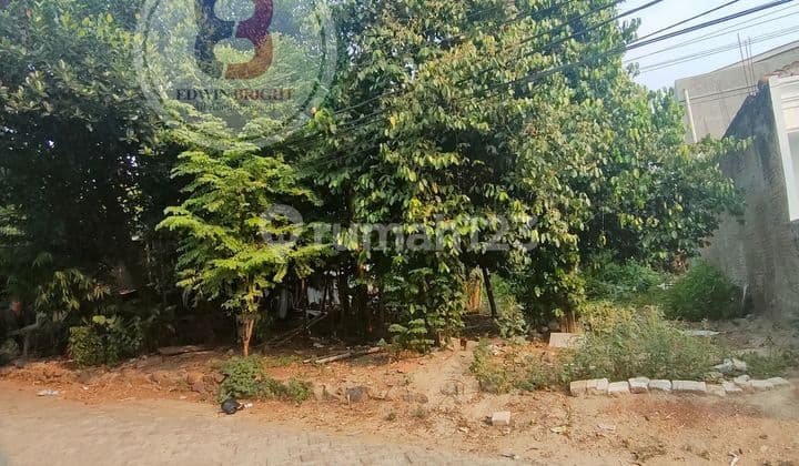 Dijual cepat murah tanah kavling dijalan Swadaya siap di bangun