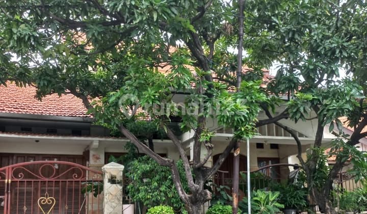 Rumah Terawat Siap Huni Medokan Asri Barat Rungkut Surabaya