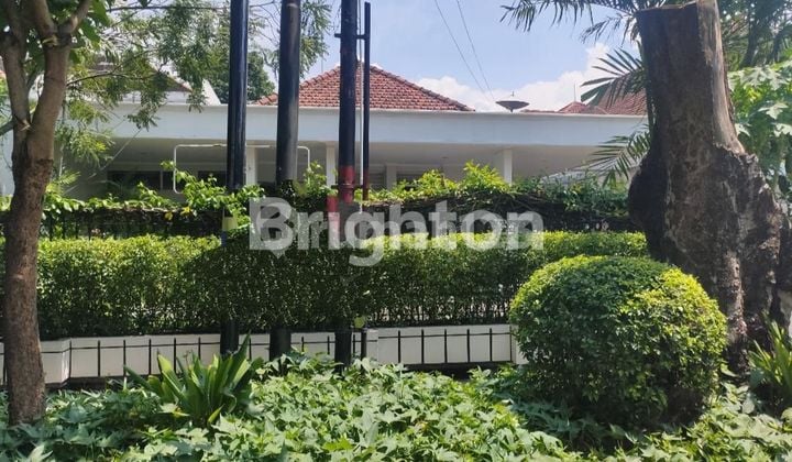 rumah pusat kota surabaya raya darmo kapuas kartini