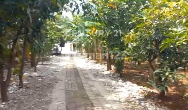 For Sale Personal Land 4730M2 Jl Yosudarso North Jakarta