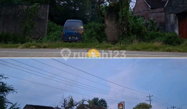 Land for Sale in Kuripan, Karangawen, Demak Land for Sale in Kuripan, Karangawen, Demak