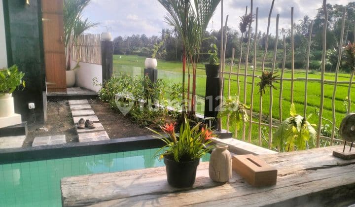 Villa Mediterania 2Br View Sawah di Mengwi, Badung, Bali
