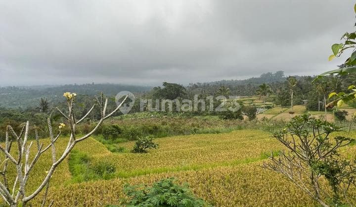 Tanah Murah Lokasi di Pucak Mangu Badung Bali