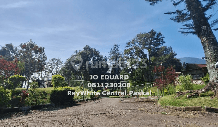 Tanah Kebun Mdpl 1.200 Lokasi Perkebunan Ciwidey Kab. Bandung