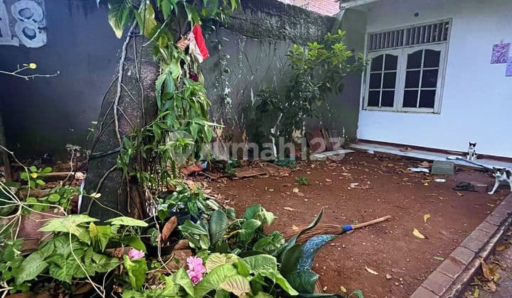 Rumah Butuh Renovasi Cocok Untuk Buka Usaha Atau Ruko Bintaro Permai Jakarta Selatan
