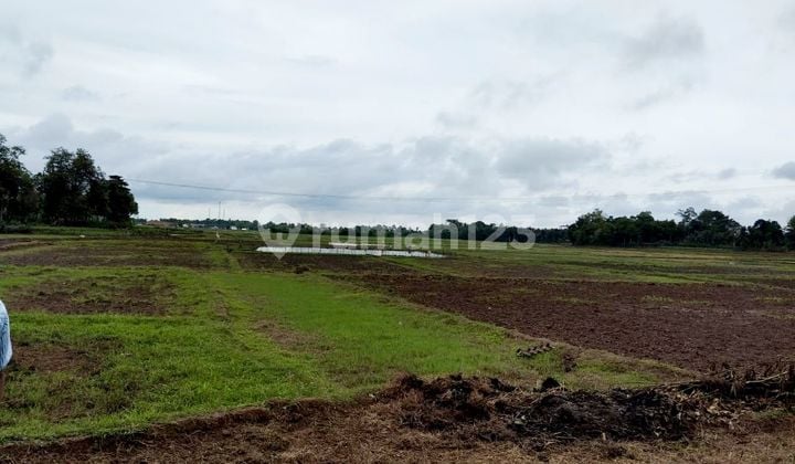 Dijual Tanah Darat dan Sawah 10 Ha, di Kawasan Serang