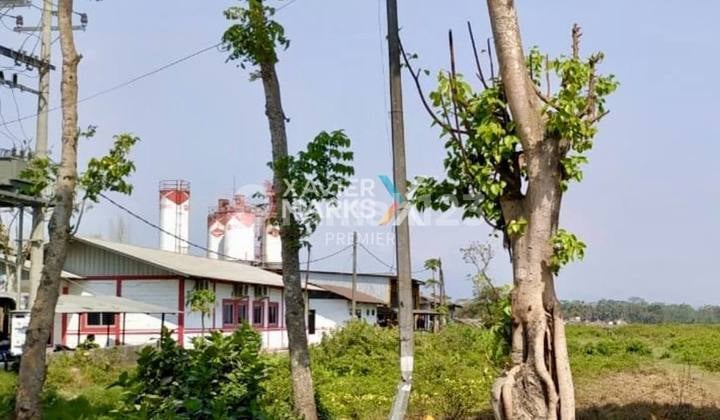 Lahan Lokasi Strategis Nol Jalan Raya Kebonagung, Pakisaji Malang
