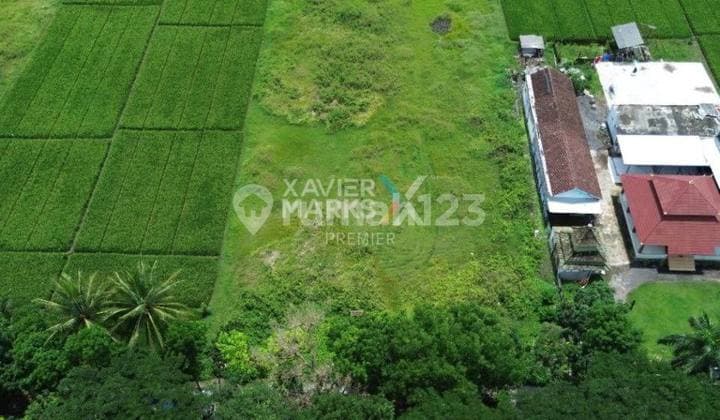 Tanah Luas di Jalan Raya Pepen, Mojosari Kepanjen Kabupaten Malang