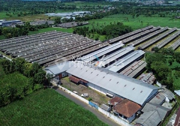 Tanah Harga Murah, Cocok untuk Pabrik, Gudang, Peternakan di Lawang, Kab. Malang