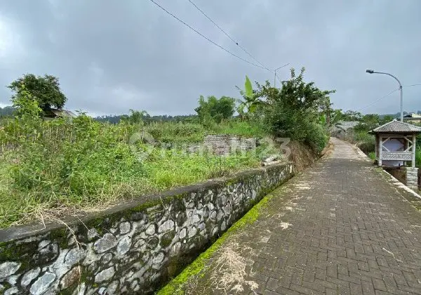 Wide Land and Beautiful View in Tlekung, Batu City, Malang Tourism Area