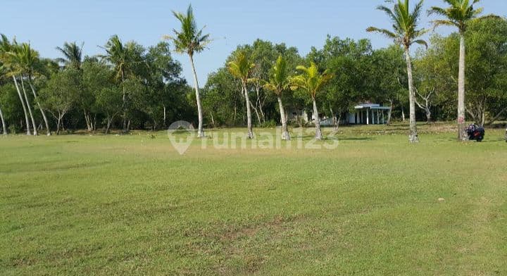 Tanah Premium Lokasi Tampak Depan Jalan Raya Tampak Belakang Pantai di Jl Raya Panimbang Tanjung Lesung Banten
