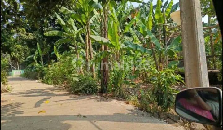 Tanah Kavling Cocok Untuk Cluster Di Sirojol Munir Jatisari Jatiasih Bekasi