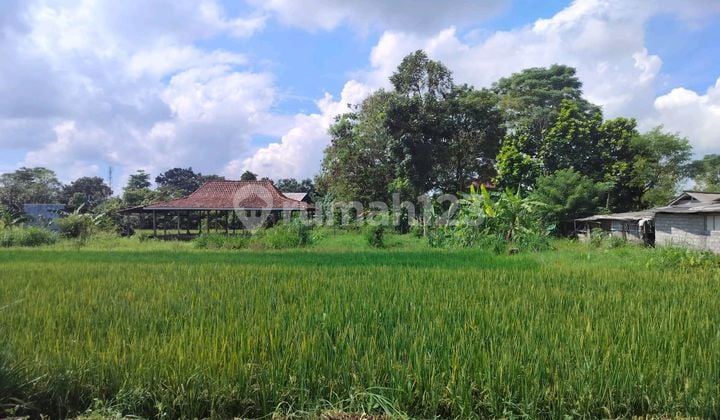 Tanah Tegalan Strategis Dekat Candi Sambisari Purwomartani Kalasan Sleman Jogjakarta