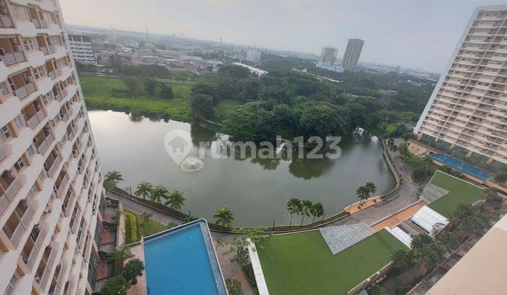 Disewakan Apartemen Trivium 1br Bagus Dan Murah di Lippo Cikarang