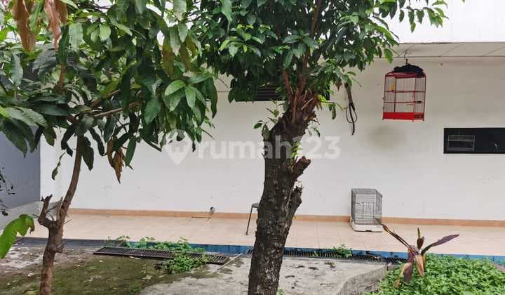 Ruang Usaha Pluit Putra raya, jalan raya, Lokasi strategis empo