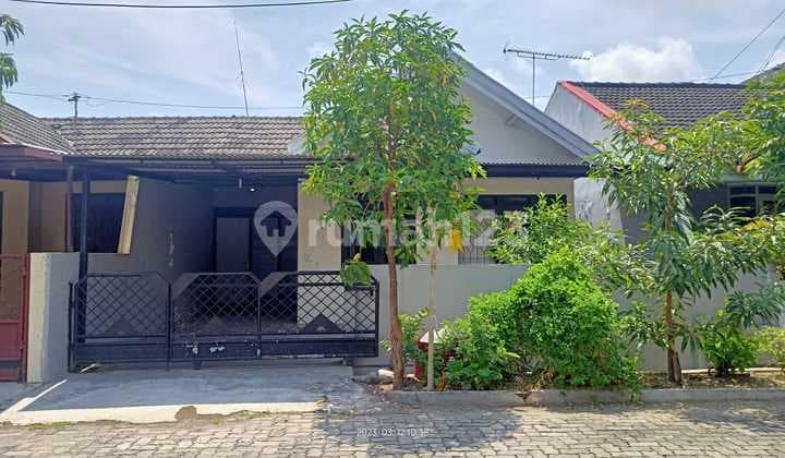 Rumah Bagus di Puri Anjasmoro, Semarang Barat, Siap Pakai