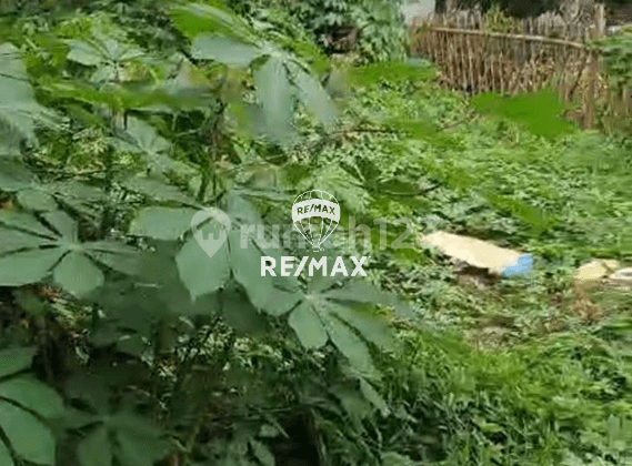 Land for Sale in West Cikarang