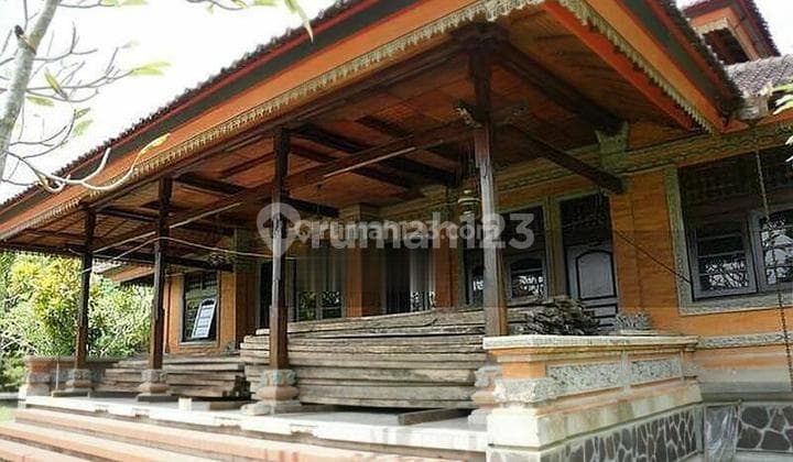 Hot Deal Investasi Menjanjikan Untuk Para Investor Puri Tabanan Bali