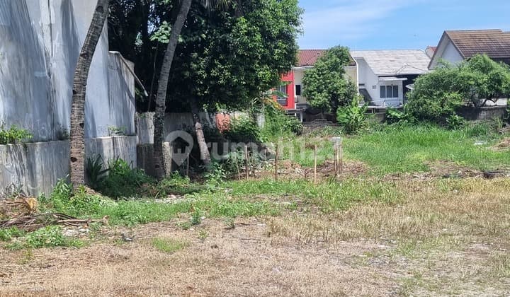 Tanah Bagus Ngantong, Jarang Ada, di Selatan Jakarta