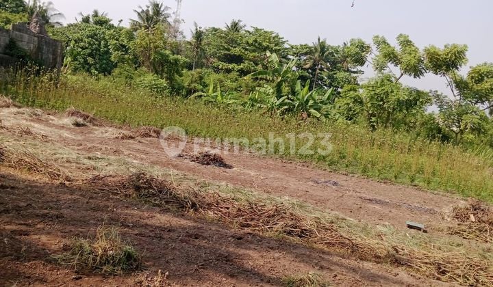 Dijual Kavling Pergudangan Laksana Pakuhaji Tangerang