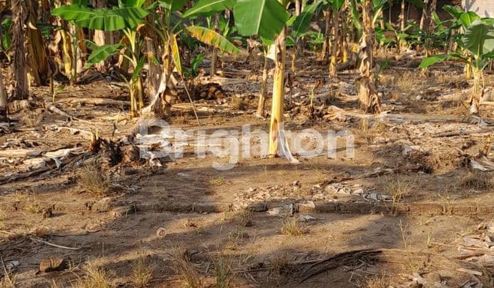 PARANGJORO, GROGOL, SUKOHARJO, JAWA TENGAH,MASIH TERSEDIA TANAH KAVLING, LOKASI BERADA DI KAWASAN PEMUKIMAN PENDUDUK, KE JALAN RAYA TELUKAN DEKAT HANYA 3 MENIT