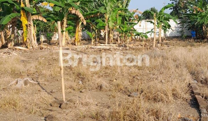 PARANGJORO, GROGOL, SUKOHARJO, CENTRAL JAVA STANDARD SIZE LAND, WITH STRATEGIC LOCATION, RESIDENTIAL AREA