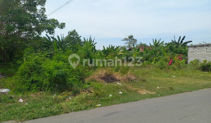 Tanah Strategis di Rawa Kuda kedung waringin bekasi