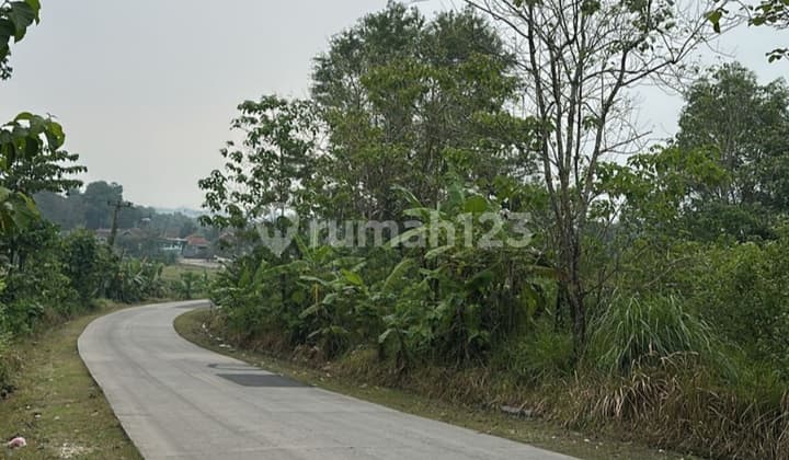 Tanah Luas Murah daerah Loji dan Strategis Pinggir Jalan Raya Karawang - Bogor