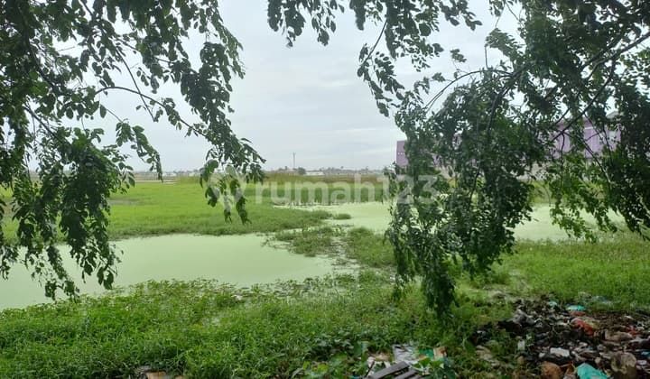 Tanah Murah Bonus Kios - Strategis Jalan Raya Jagawana, Cikarang