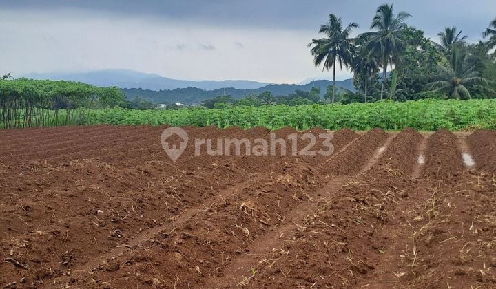 Di Jual Tanah Ci Bening Pamijahan Bogor