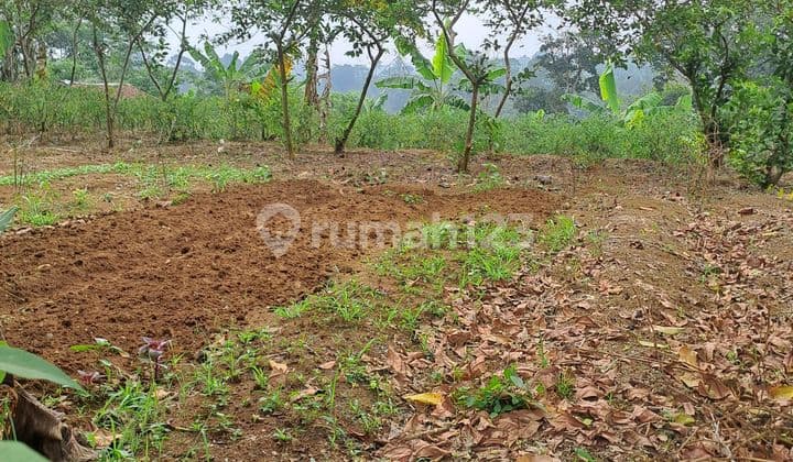 Di Jual Tanah Caringin Bogor