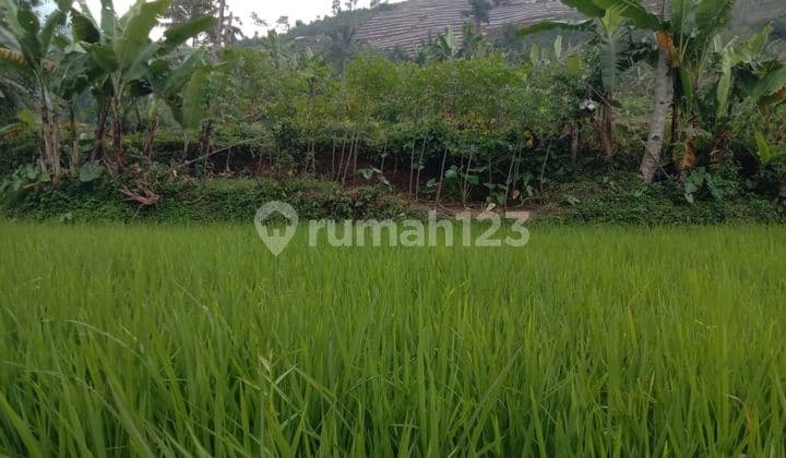 Di Jual Tanah Darat Sawah Cidahu Sukabumi