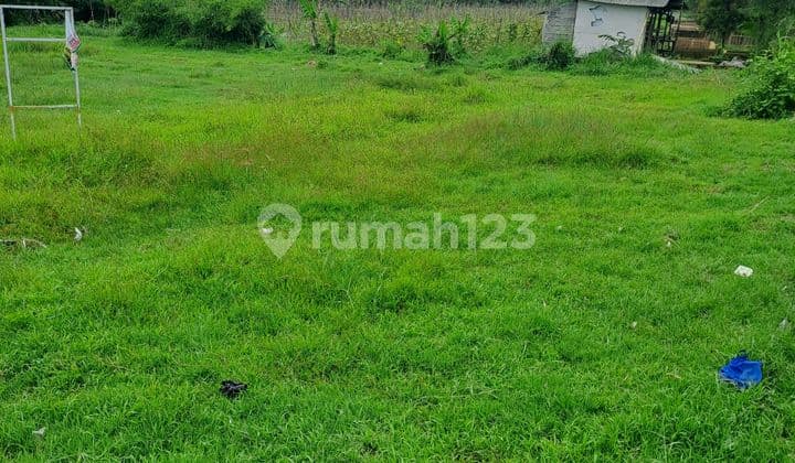 Di Jual Tanah Di Cigombong Bogor Jawabarat.