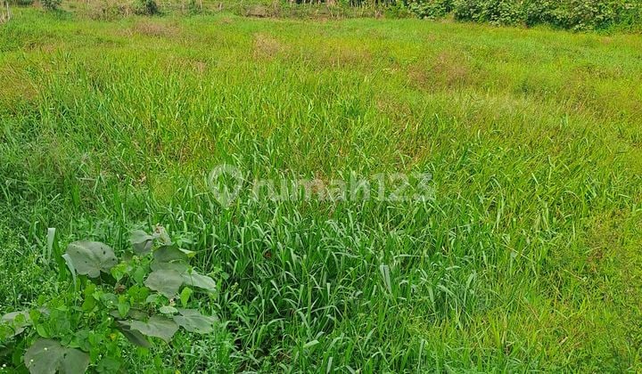 Di Jual Tanah D Kemang Bogor