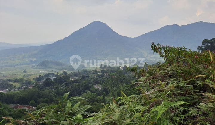 D jual tanah jalan raya desa bojongkoneng Tanah