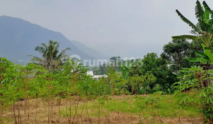 D jual tanah samping cluster sentul city