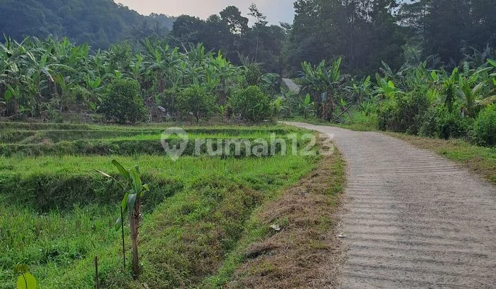 Di jual tanah suka jaya jonggol
