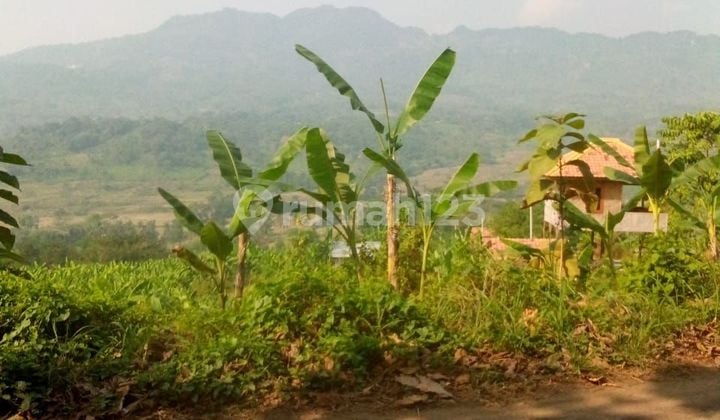 Di jual tanah desa cibadak tanjung sari bogor timur