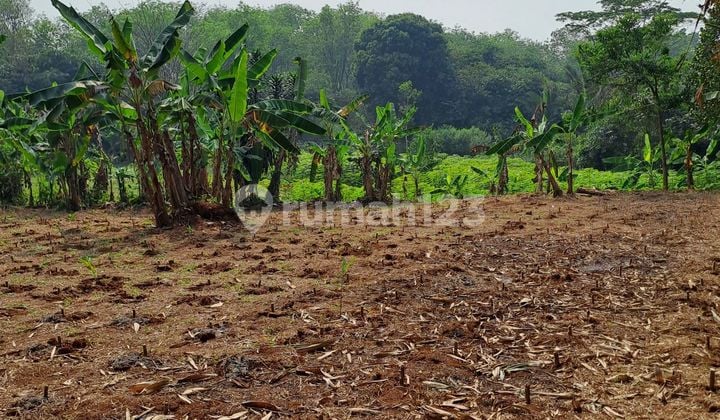 Di jual tanah ci bodas rumpin